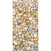 Панель ПВХ Морские камешки (№ 365) 0,25х2,70х0,008м / ГЛ